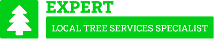 Kerikeri Tree Care - Tree Removal Kerikeri